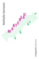 Couverture Martereau (Nathalie Sarraute)