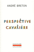 Couverture Perspective cavalière ()
