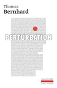Couverture Perturbation ()
