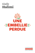 Couverture Une embellie perdue ()