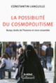 Couverture La possibilité du cosmopolitisme (Constantin Languille)
