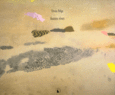 Couverture Autres rives (,Denis Polge)