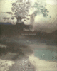 Couverture Les eaux dormantes (Denis Polge)