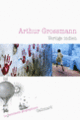 Couverture Vertige indien (Arthur Grossmann)