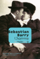 Couverture L'homme provisoire (Sebastian Barry)