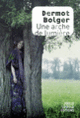 Couverture Une arche de lumière (Dermot Bolger)
