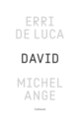 Couverture David, Michel-Ange (Erri De Luca)
