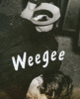 Couverture Weegee (Hendrik Berinson,Collectif(s) Collectif(s),Bertrand Lorquin,Olivier Lorquin,Margit Zuckriegl)