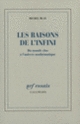 Couverture Les Raisons de l'infini (Michel Blay)