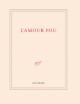 Couverture Grand carnet de dessin «L'amour fou» (papeterie) ()