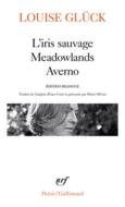 Couverture L'iris sauvage - Meadowlands - Averno ()