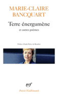 Couverture Terre énergumène/Dans le feuilletage de la terre/Verticale du secret ()
