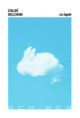 Couverture Le lapin (Chloé Delchini)