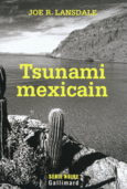 Couverture Tsunami mexicain ()